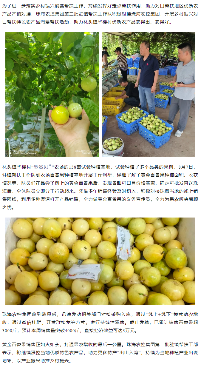 乐鱼官方网页版集团助力产销对接 对口帮扶果香飘百里.png